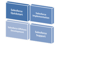 Salesforce.com CRM Services