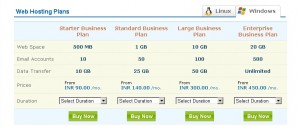 Worry Free Windows Hosting Plans