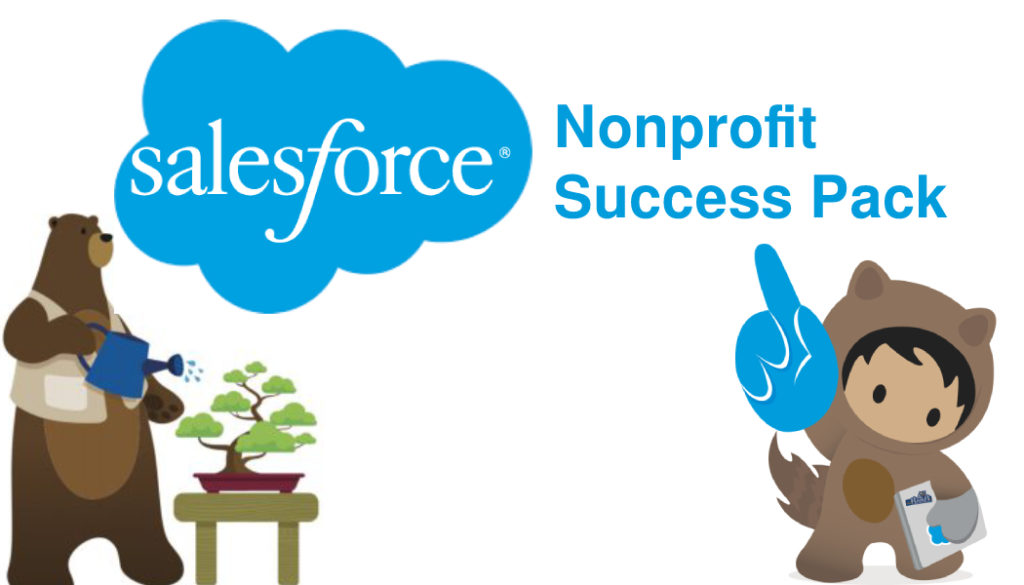Salesforce Nonprofit Success Pack (NPSP) features
