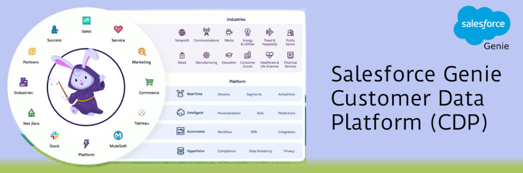 Salesforce Genie - Customer Data Platform - CDP Salesforce Genie Customer Data Platform