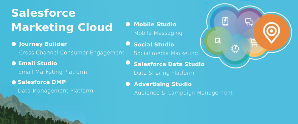 SAlesdforce Marketing Cloud Services