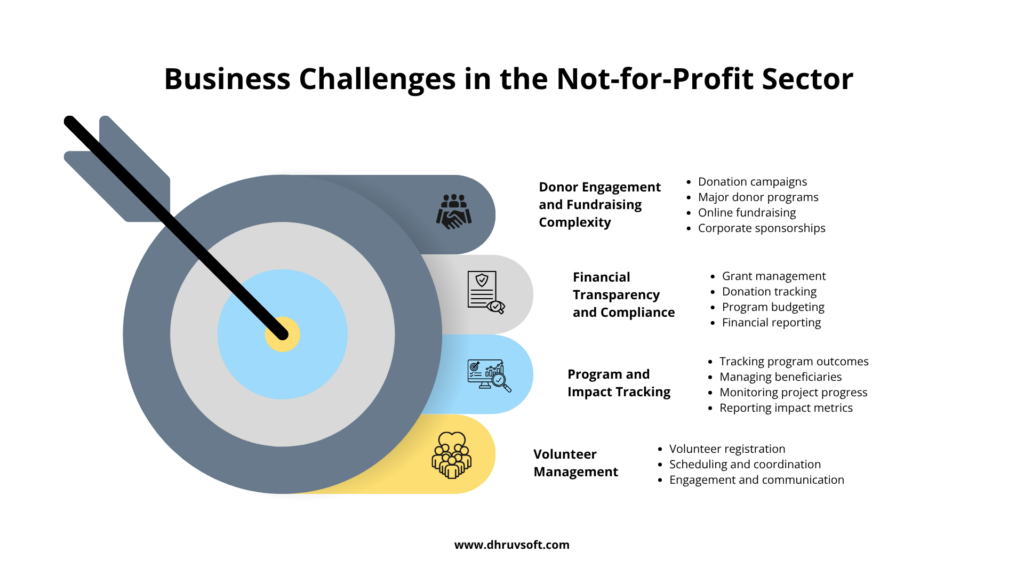 Business Challenges in the Not-for-Profit Sector   